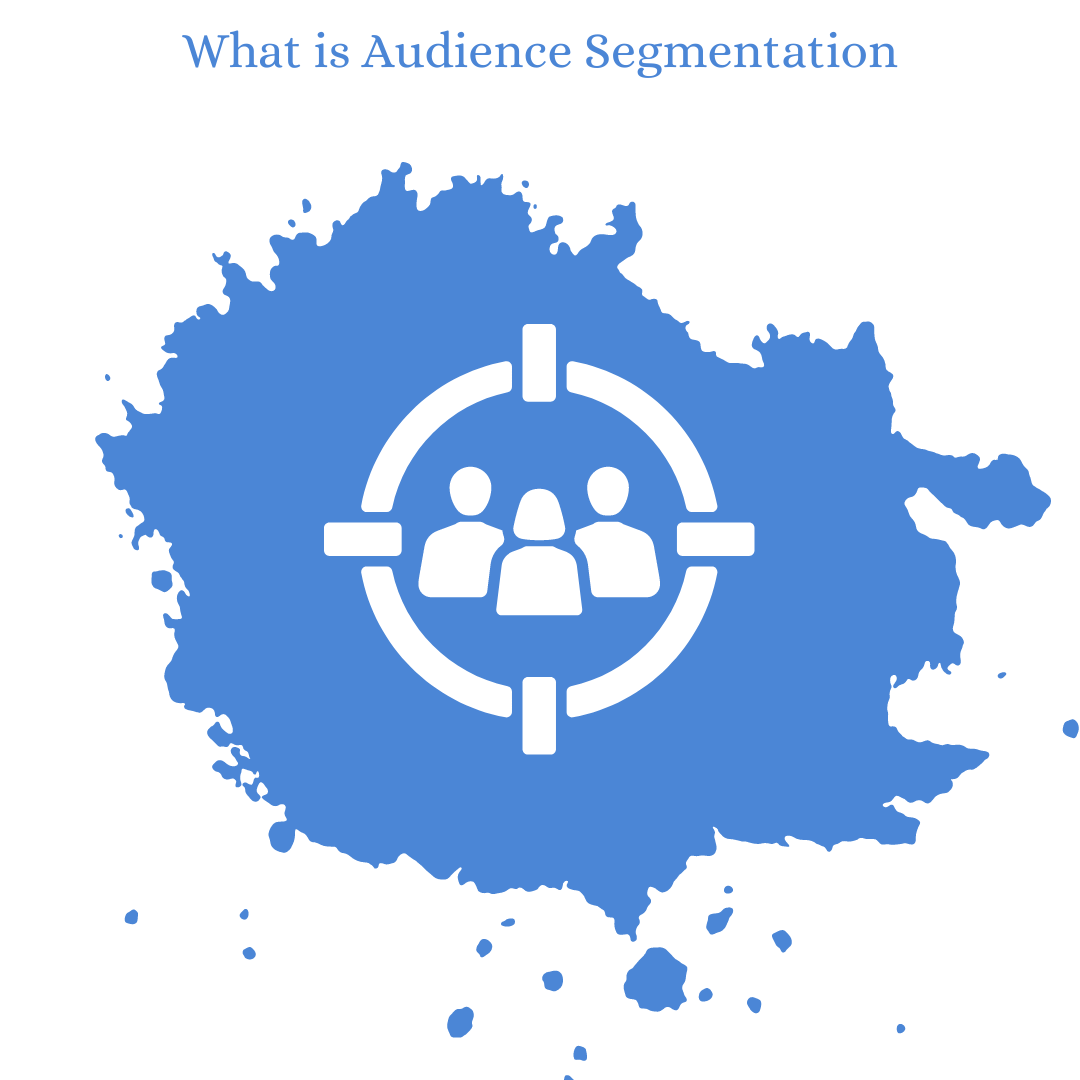 What is Audience Segmentation